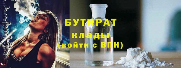 индика Гусь-Хрустальный