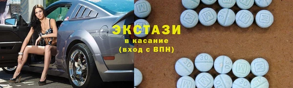 индика Гусь-Хрустальный