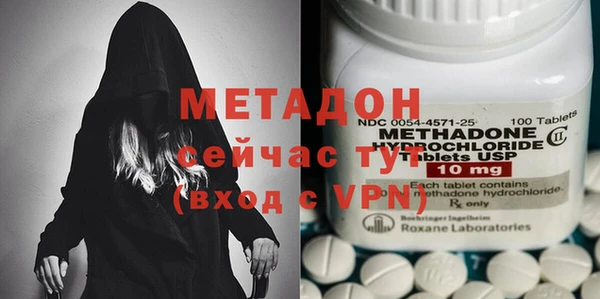 индика Гусь-Хрустальный