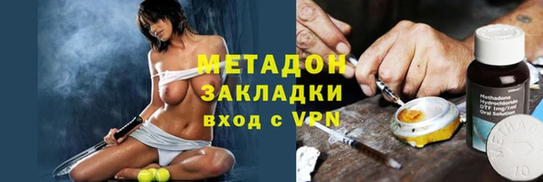 индика Гусь-Хрустальный