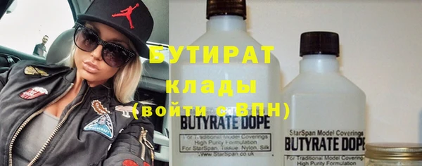 индика Гусь-Хрустальный