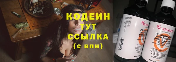 хмурый Гусев