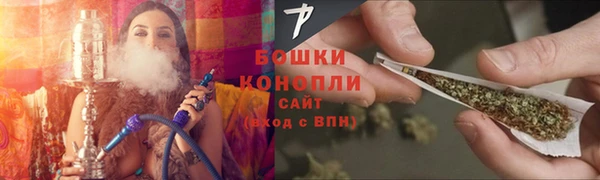 индика Гусь-Хрустальный