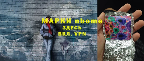 индика Гусь-Хрустальный