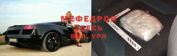 индика Гусь-Хрустальный