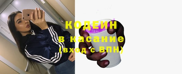 хмурый Гусев