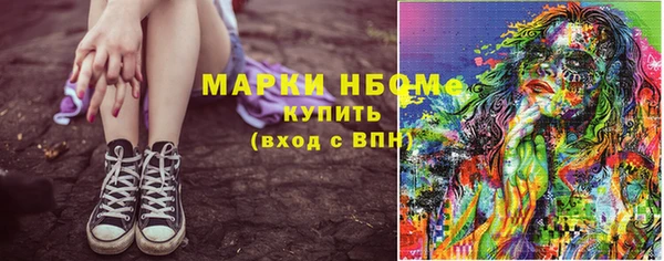 индика Гусь-Хрустальный