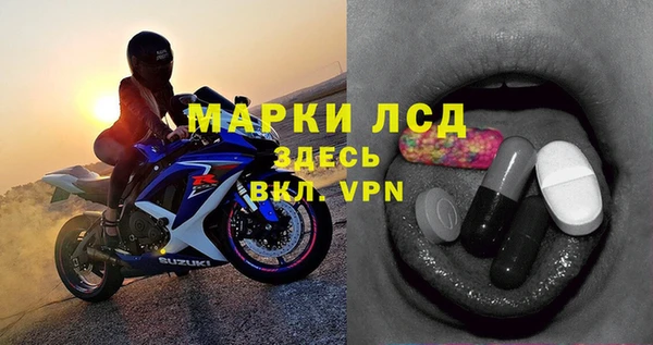 индика Гусь-Хрустальный