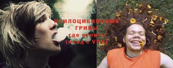 хмурый Гусев