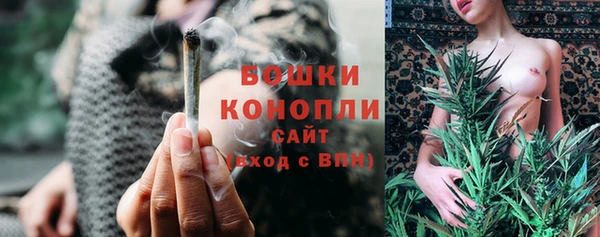хмурый Гусев