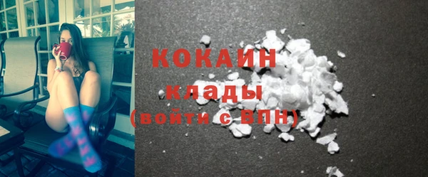 индика Гусь-Хрустальный