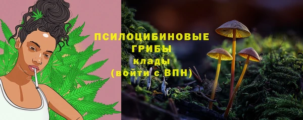 меф Гусиноозёрск