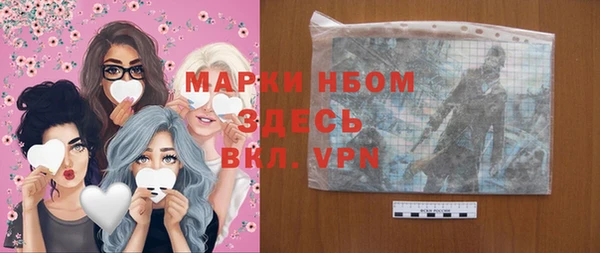 индика Гусь-Хрустальный