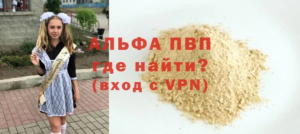 индика Гусь-Хрустальный