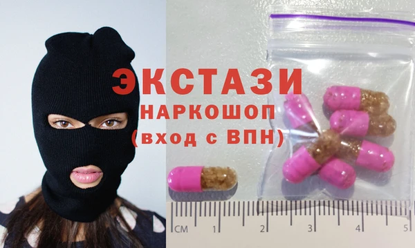 индика Гусь-Хрустальный