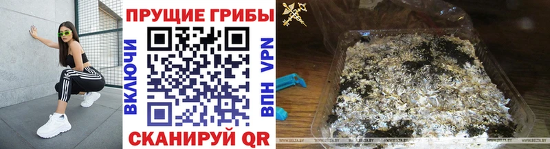 площадка наркотические препараты  Долинск  Галлюциногенные грибы мухоморы 